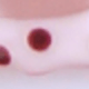 Nhiều màu