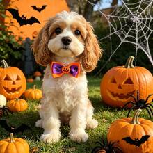 10 pièces Collier de chien à nœud papillon pour Halloween en couleurs aléatoires. 10 pièces d'accessoires de collier de chien avec nœud papillon à attacher au collier pour les chiens pendant Halloween - Multicolore - Voir 4