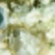 White-green 2