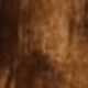 Smoked Oak