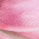 66255 Màu hồng