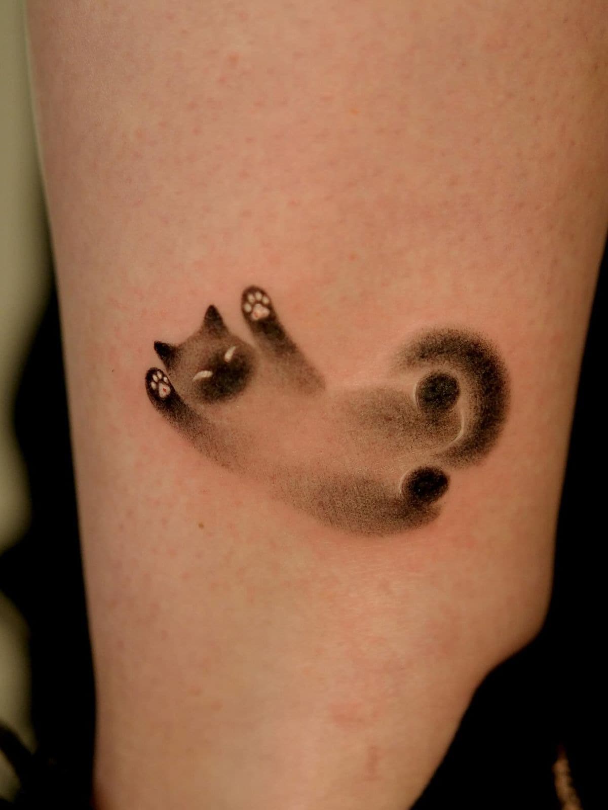 1pc Waterproof & Smudge-Proof Temporary Tattoo Sticker, PVC Realistic Small Cat Tattoo Decal For Daily Use - Grey - View 1