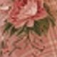 Nhiều màu