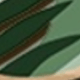 彩色