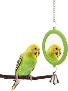 1 Set Bird Toy, Bird Mirror, Hanging Chain Style, For Small/Medium Parrots, Parrot Bell Toy, Cage Perch Accessories, Suitable For Bird Training - Green - View 3