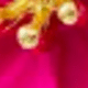 Style 3