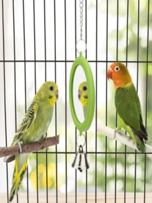 1 Set Bird Toy, Bird Mirror, Hanging Chain Style, For Small/Medium Parrots, Parrot Bell Toy, Cage Perch Accessories, Suitable For Bird Training - Green - View 2