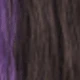 Purple Highlights