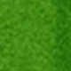 Lawn