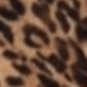 لون صلب
