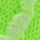 Fluorescent Green