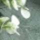 綠色