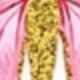 多色