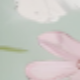 綠色-白花
