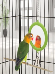 1 Set Bird Toy, Bird Mirror, Hanging Chain Style, For Small/Medium Parrots, Parrot Bell Toy, Cage Perch Accessories, Suitable For Bird Training - Green - View 4