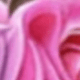 無框