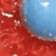 British Standard 20W Red and Blue Flower