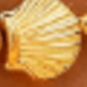conjunto2