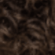 S4