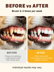 GJYC PET 3pcs Dog Teeth Care Set, Peanut Butter Flavored Enzyme Toothpaste With Toothbrush And Finger Brush, For Cleaning Teeth, Controlling Plaque And Tartar, Removing Bad Breath, Suitable For Small, Medium And Large Dogs - Multicolor - View 4