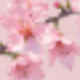 彩色