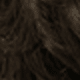 S4