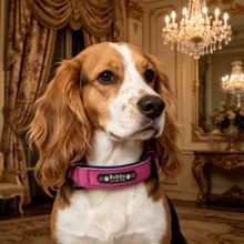 Customized PU Vintage Industrial Style Dog Engraved Collar, Solid Muted Color Tone, Soft Lining Anti-Lost Adjustable ID Tag, For Small & Medium Dogs - Multicolor - View 11