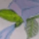 MultiWarna