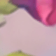 彩色