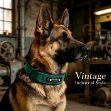 Customized PU Vintage Industrial Style Dog Engraved Collar, Solid Muted Color Tone, Soft Lining Anti-Lost Adjustable ID Tag, For Small & Medium Dogs - Multicolor - View 10