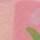 彩色