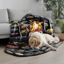 1 chiếc chăn nỉ in họa tiết hoạt hình Disney Stitch The Secret Door, chăn chần bông che điều hòa - 100% polyester, in kỹ thuật số - bộ chăn ga thoải mái cho mọi mùa, quà tặng lý tưởng cho bạn bè và gia đình, chăn nỉ mềm - có nhiều kích cỡ, siêu mềm, phù hợp cho sofa/giường, thiết yếu cho mọi mùa - Nhiều màu - Xem 5