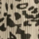 Aprikot