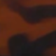 da báo