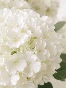 5/15件人造繡球花，仿真花束，桌面裝飾花，婚禮裝飾花，白色人造花，適用於生日家居裝飾、派對裝飾、婚禮花束、婚禮裝飾、桌上中心裝飾、花瓶填充 - 白色 - 查看 3