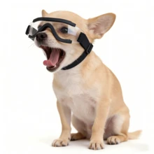 Small Dog Pet Sunglasses, Medium Cat Pet Sunglasses, Pet Goggles Also Can Be Used As Photography Glasses - Multicolor - View 12