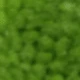 Green 2