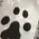 OO