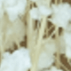 White 10