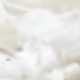 White 6