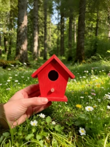 1pc Hanging Waterproof DIY Outdoor Solid Wood Birdhouse, Customizable Hanging Mini Bird Nest, Suitable For Sparrows, Parrots, Birds, Hummingbirds, Indoor And Outdoor Use, Handmade Solid Wood, Anti-Fall - View 8