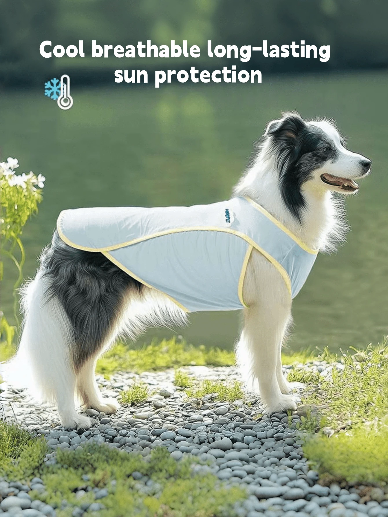 1件夏季透氣防掉毛大狗背心，新型涼感防曬背心，適用於中/大型犬種如邊境牧羊犬和黃金獵犬