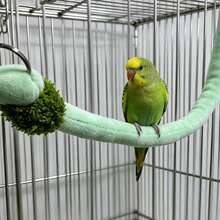 Multi-Functional Pet Cage Hammock & Climbing Ladder, Fun Swing Rope Bridge Toy For Small Animals Like Parrots & Hamsters, Interactive Playground Accessory - A - View 7