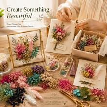 Dried Flower Plant Decor Kit, 4 Boxes Mixed Preserved Flowers & Leaves For Indoor Plant Display, Resin Art, Candle Making, Cards, Frames & DIY Gifts - 4pcs - View 5