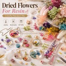 Curear 4 Boxes Colorful Dried Flowers For Resin Jewelry Making, Real Pressed Flower Leaves & Floral Fillers For Resin Molds, Pendant Earrings Bookmark DIY Craft Supplies, Random Mixed Style - 4pcs - View 1