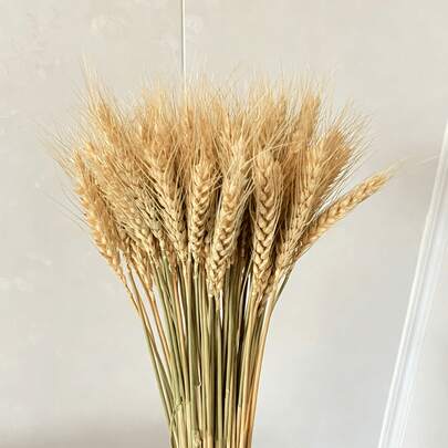 Talos de Trigo Seco Natural 100 Peças Decoração Rústica Presente Criativo para Casa e Eventos