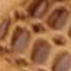 màu nâu