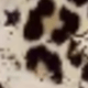 Heart-shaped Leopard Print