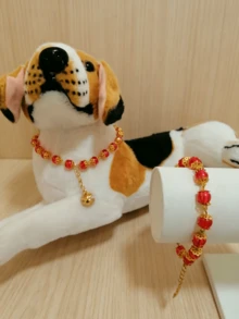 Kit de manualidades de cuentas fácil de hacer: Suministros paso a paso para hacer pulseras y collares para mascotas para principiantes - Multicolor - Ver 12