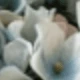 Gray Blue